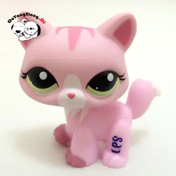 CWM019 Pet Shop Gyvūnų Retų Kačių Rožinė Kitty Cat lėlės veiksmų Skaičius, kačiukas