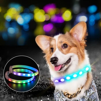 Legendog USB Įkrovimo Led Šunų Antkaklis Anti-Lost Luminoso Perros Saugos Perro Personalizado Dideli Šunys Chiens Pet products