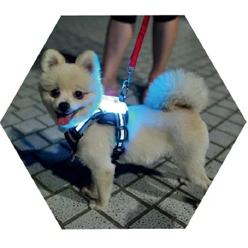 usb simonas led cc įkrovimo šunų petnešos Gamintojas didmeninės lauko nailono reguliuojamas custom naminių reikmenys