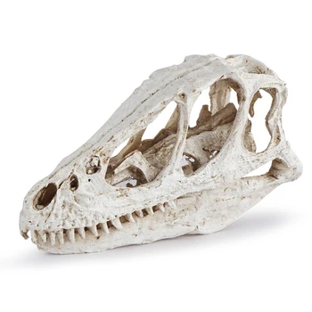 Derva Dinozaurų Kaukolės Modelis Statulėlės už Pub Šalis Dekoro Mokymo Balta